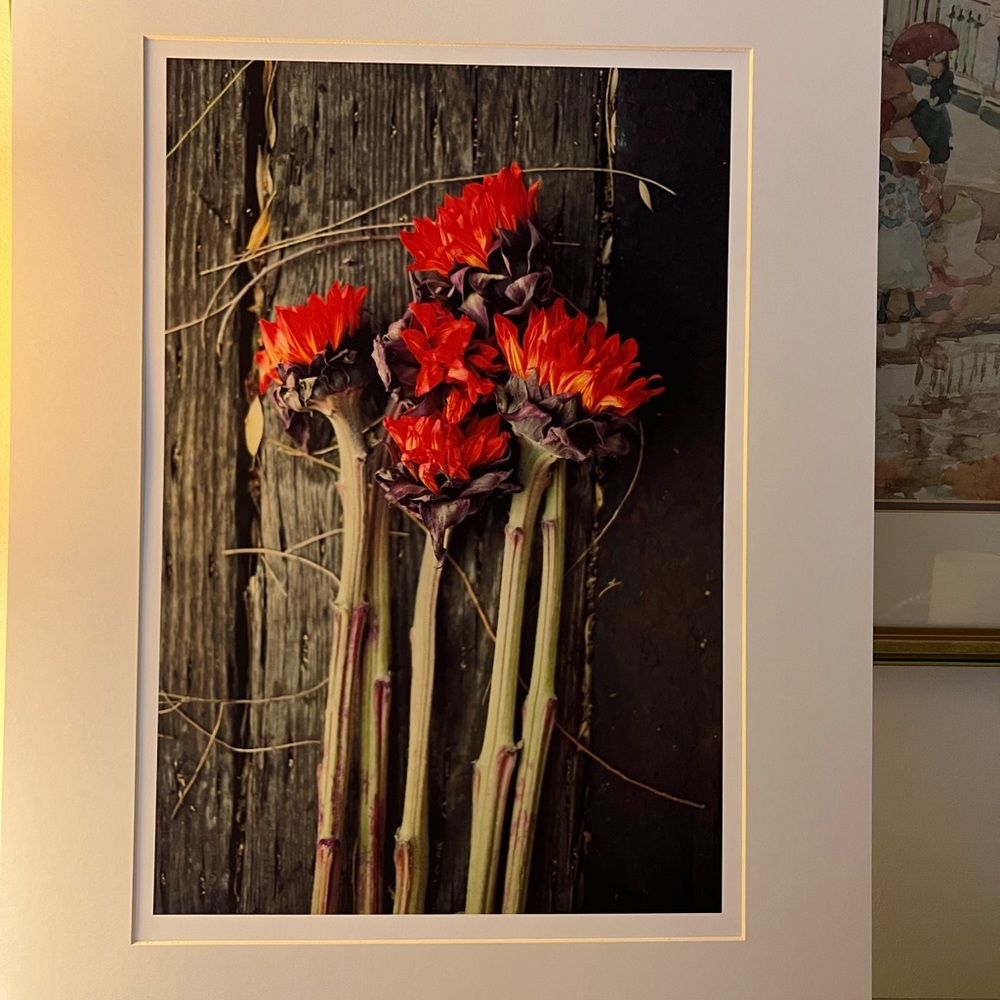 Photographic print